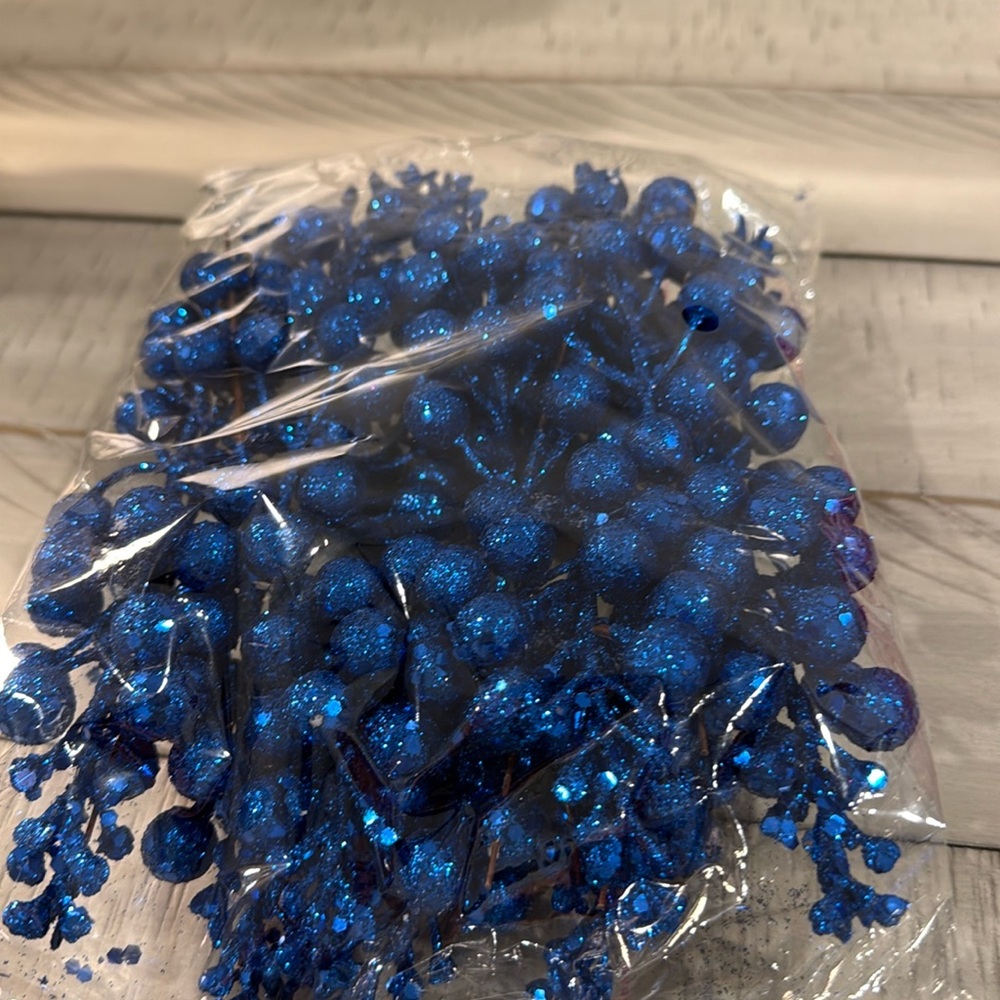 Blue Berry picks